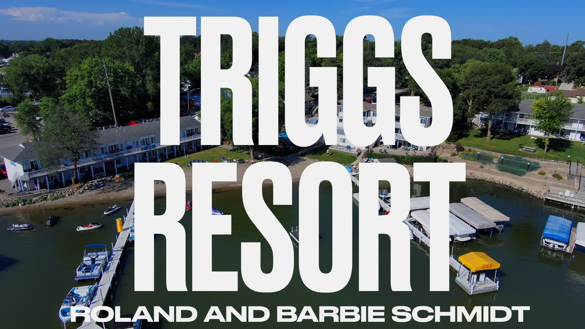 Triggs